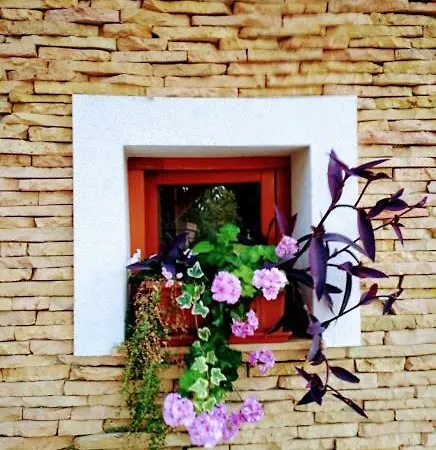 Nekeczki Vendeghaz Guest house Nagykata